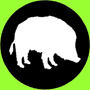 Cinghiale.